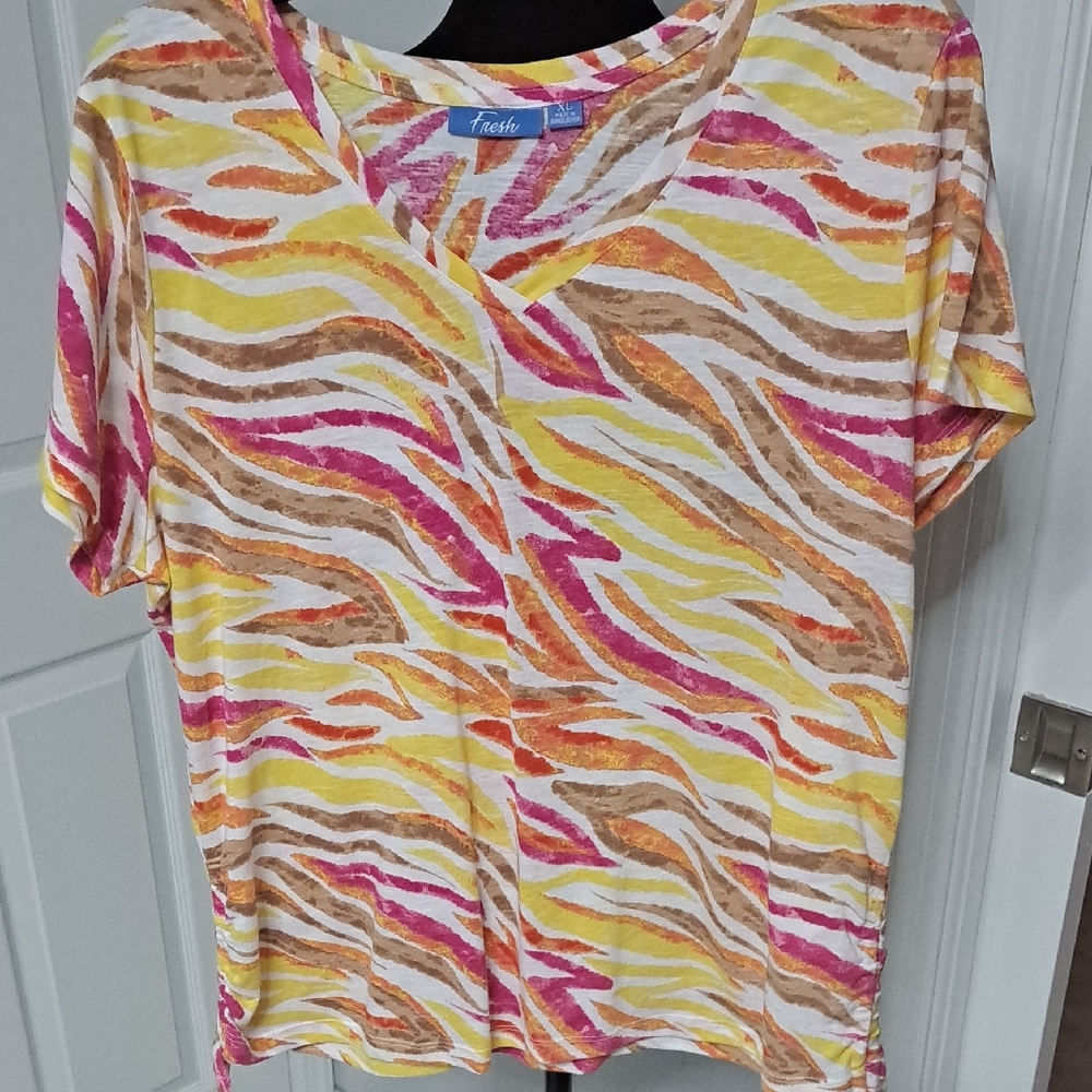 Fresh Multicolor V-Neck Short Sleeve Top